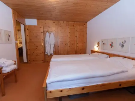 Schweizerhof Drescher, Appartement 4 personnes à Lenzerheide - Photo 12