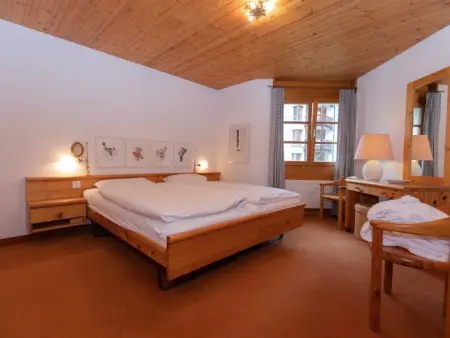 Schweizerhof Drescher, Appartement 4 personnes à Lenzerheide - Photo 13