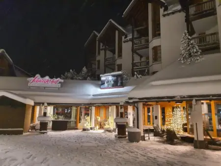 Schweizerhof Drescher, Appartement 4 personnes à Lenzerheide - Photo 24