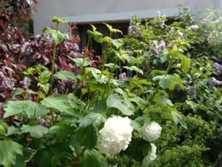 Gîte rénové avec terrasse près de Nancy - Calme et charme garanti - Photo 10