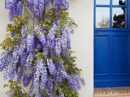Gîte Confortable au Cœur du Vignoble de Sancerre avec Internet et Proche de la Loire à Vélo - Photo 7
