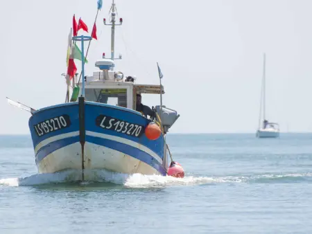 Maison Rénovée 5 Chambres, WiFi, Parking, à 800m du Marché et 1km Plage - Photo 24