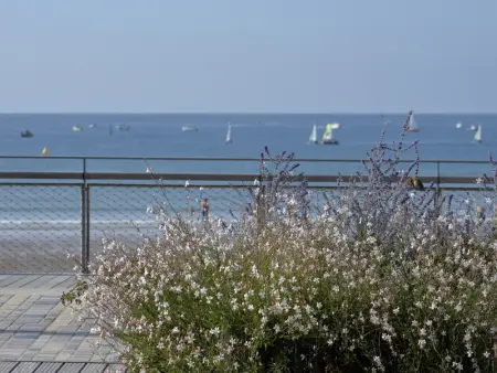 Maison Rénovée 5 Chambres, WiFi, Parking, à 800m du Marché et 1km Plage - Photo 26