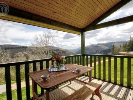 Chalet cosy avec terrasse privée, animaux acceptés - Photo 11