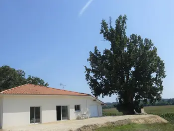 Gite à Fargues,Calme et confort à Fargues: Gîte avec jardin, climatisation, près de St Sever et Grenade s/ Adour FR-1-360-688 N°834824