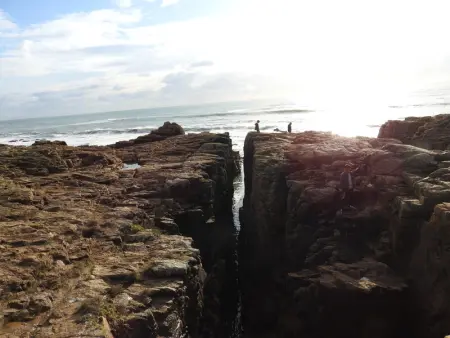 T2 Mezzanine aux Sables d'Olonne - Balcon, Proche Plage et Commerces - Photo 9