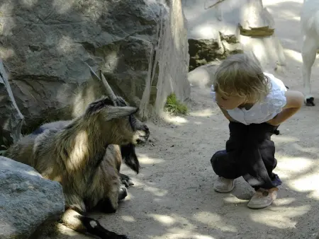 T2 Mezzanine aux Sables d'Olonne - Balcon, Proche Plage et Commerces - Photo 15
