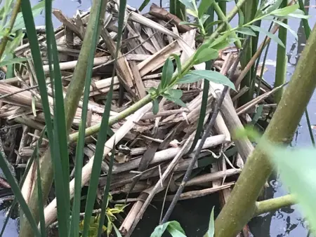 Charmante Grange Rénovée avec Piscine et WiFi, Gite 5 personnes à Villeneuve en Retz - Photo 25