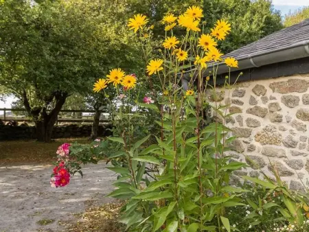 Maison de Charme Proche Côte avec Jardin, 3 Chambres & Equipements Bébé - Photo 10