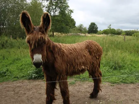 Charmant gîte près du Mans : calme, confort, commerces à proximité, idéal pour 2 pers. - Photo 17