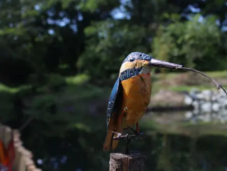 Charmant Gîte Campagnard près du Mans - Calme, Confort et Commodités à Proximité - Photo 15