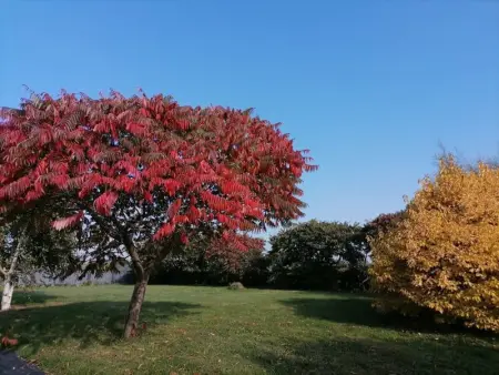 Gîte en campagne rénové avec cheminée, grands jardins, WiFi, près d'un village médiéval. - Photo 16