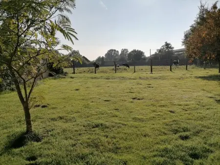 Gîte en campagne rénové avec cheminée, grands jardins, WiFi, près d'un village médiéval. - Photo 19