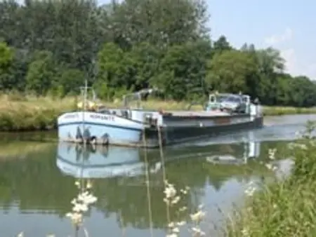 Gîte Confortable avec Terrasse et Jardin Clôturé - Photo 7