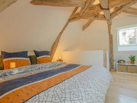 Gîte rénové avec jardin et parc, proche Troyes et lacs, climatisé, terrasse privée, équipements complets - Photo 10