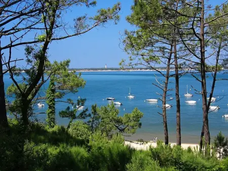 Maison de 4 chambres avec jardin à 150m de la plage - Pyla, La Teste-de-Buch - Photo 23