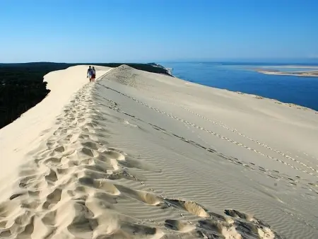 Maison de 4 chambres avec jardin à 150m de la plage - Pyla, La Teste-de-Buch - Photo 26