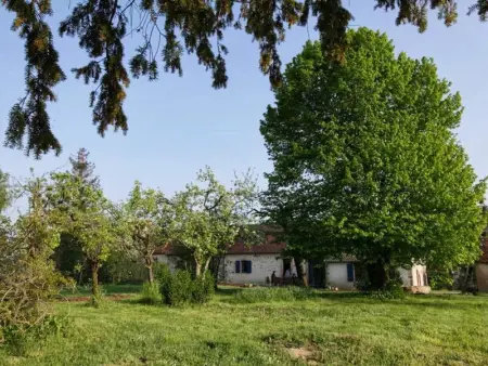 Séjour nature au cœur du Parc de la Brenne: gîte 4 chambres, jardin et terrasse, proche de Rosnay - Photo 6