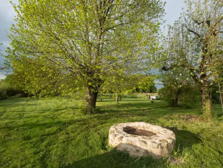 Séjour nature au cœur du Parc de la Brenne: gîte 4 chambres, jardin et terrasse, proche de Rosnay - Photo 21