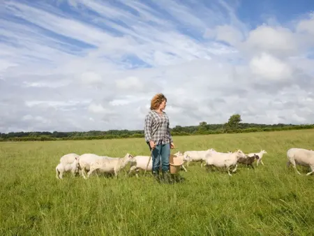 Séjour nature au cœur du Parc de la Brenne: gîte 4 chambres, jardin et terrasse, proche de Rosnay - Photo 25