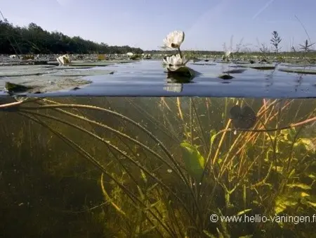 Séjour nature au cœur du Parc de la Brenne: gîte 4 chambres, jardin et terrasse, proche de Rosnay - Photo 27