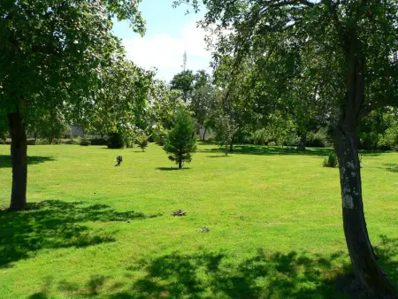 Gîte de charme en Berry avec jardin privatif, idéal pour randonnées et observation des oiseaux - Photo 5