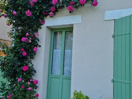 Charmante maison avec jardin au cœur du Parc Naturel Régional de la Brenne, idéale pour télétravail. - Photo 1