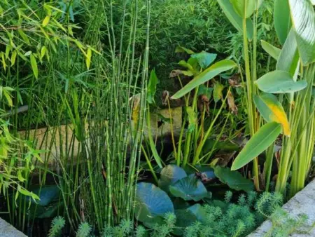 Charmante maison avec jardin au cœur du Parc Naturel Régional de la Brenne, idéale pour télétravail. - Photo 20