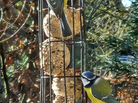 Charmante maison avec jardin au cœur du Parc Naturel Régional de la Brenne, idéale pour télétravail. - Photo 22