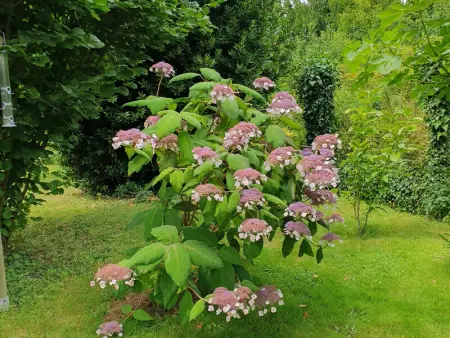 Charmante maison avec jardin au cœur du Parc Naturel Régional de la Brenne, idéale pour télétravail. - Photo 24