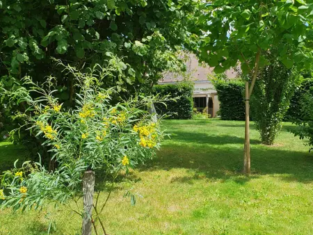 Charmante maison avec jardin au cœur du Parc Naturel Régional de la Brenne, idéale pour télétravail. - Photo 25