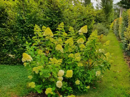 Charmante maison avec jardin au cœur du Parc Naturel Régional de la Brenne, idéale pour télétravail. - Photo 26