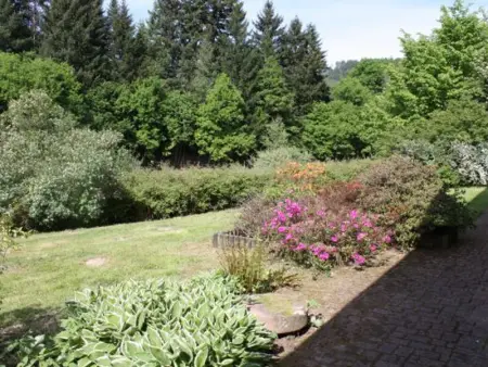Superbe Ferme Rénovée avec Cheminée, Wifi, et Jeux Extérieurs près de Gérardmer et Épinal - Photo 1