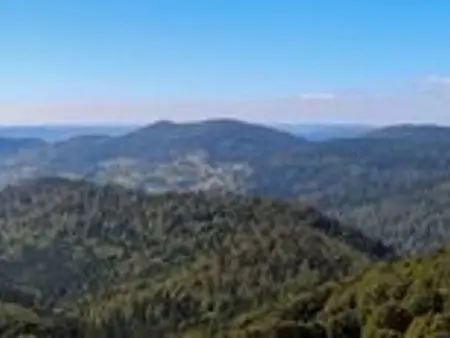 Superbe Ferme Rénovée avec Cheminée, Wifi, et Jeux Extérieurs près de Gérardmer et Épinal - Photo 29