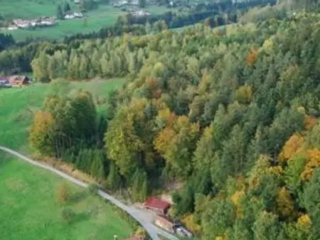 Gîte chaleureux en pleine nature avec terrasse, idéal pour randonnées et vététistes, proche de Gérardmer - Photo 12