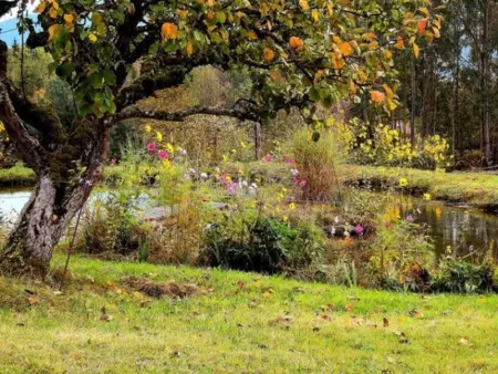 Gîte chaleureux en pleine nature avec terrasse, idéal pour randonnées et vététistes, proche de Gérardmer - Photo 13