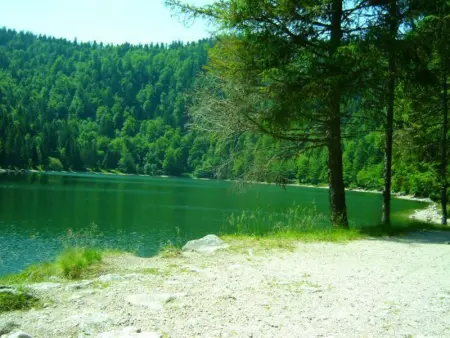 Maison de Montagne à La Bresse, 2 Chambres, Confort et Activités, Garage, Wifi Inclus - Photo 16