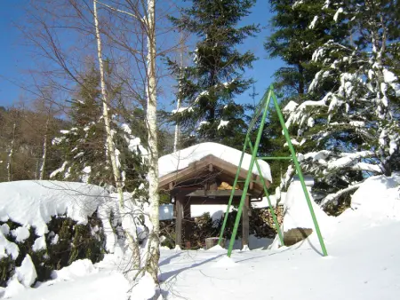 Maison de Montagne à La Bresse, 2 Chambres, Confort et Activités, Garage, Wifi Inclus - Photo 19
