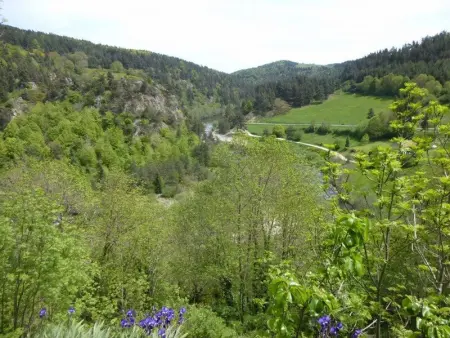 Ancien presbytère avec 3 chambres au pied d'une forteresse médiévale - Photo 10