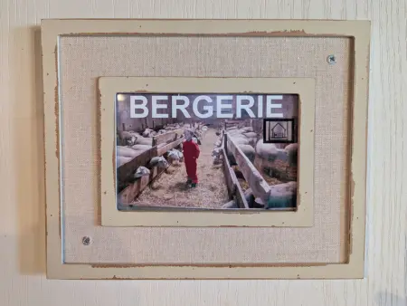 Maison de caractère avec grand terrain, proche d'Arlempdes, labels ECOGÎTE et Tourisme & Handicap - Photo 8