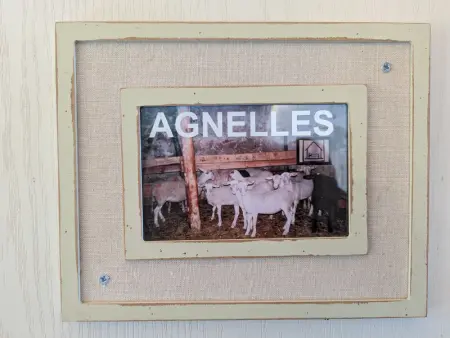 Maison de caractère avec grand terrain, proche d'Arlempdes, labels ECOGÎTE et Tourisme & Handicap - Photo 10