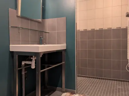 Maison de caractère avec grand terrain, proche d'Arlempdes, labels ECOGÎTE et Tourisme & Handicap - Photo 12