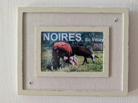 Maison de caractère avec grand terrain, proche d'Arlempdes, labels ECOGÎTE et Tourisme & Handicap - Photo 18