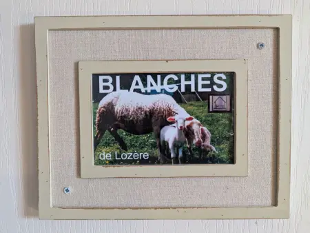 Maison de caractère avec grand terrain, proche d'Arlempdes, labels ECOGÎTE et Tourisme & Handicap - Photo 21