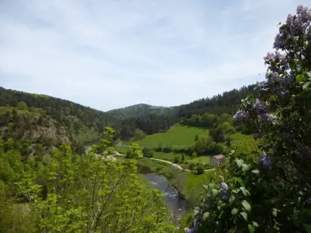 Gîte 4 pers avec cour, vue Loire, Gite 4 personnes à Arlempdes - Photo 6