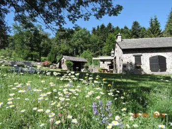 Gite à Queyrières,Maison isolée, au cœur des volcans, terrain clos, jeux, confort, cheminée, proche forêts et villages. FR-1-582-285 N°838939