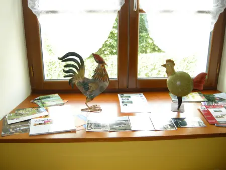 Gîte charmant au cœur du Parc national de forêts, idéal pour familles, proche des sentiers - Photo 4