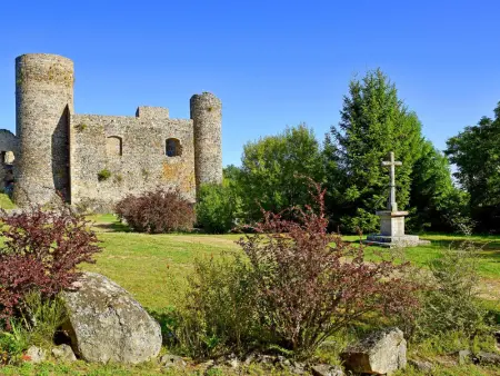 Gîte chaleureux à la ferme avec terrasse, animaux admis - Photo 17