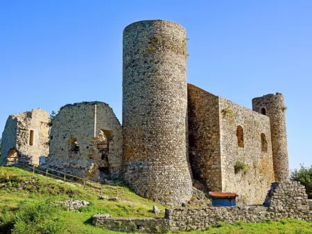 Gîte chaleureux à la ferme avec terrasse, animaux admis - Photo 18