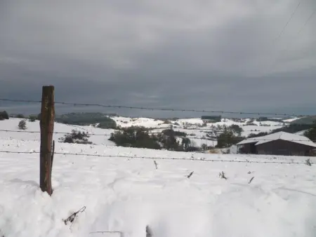 Gîte chaleureux à la ferme avec terrasse, animaux admis - Photo 19